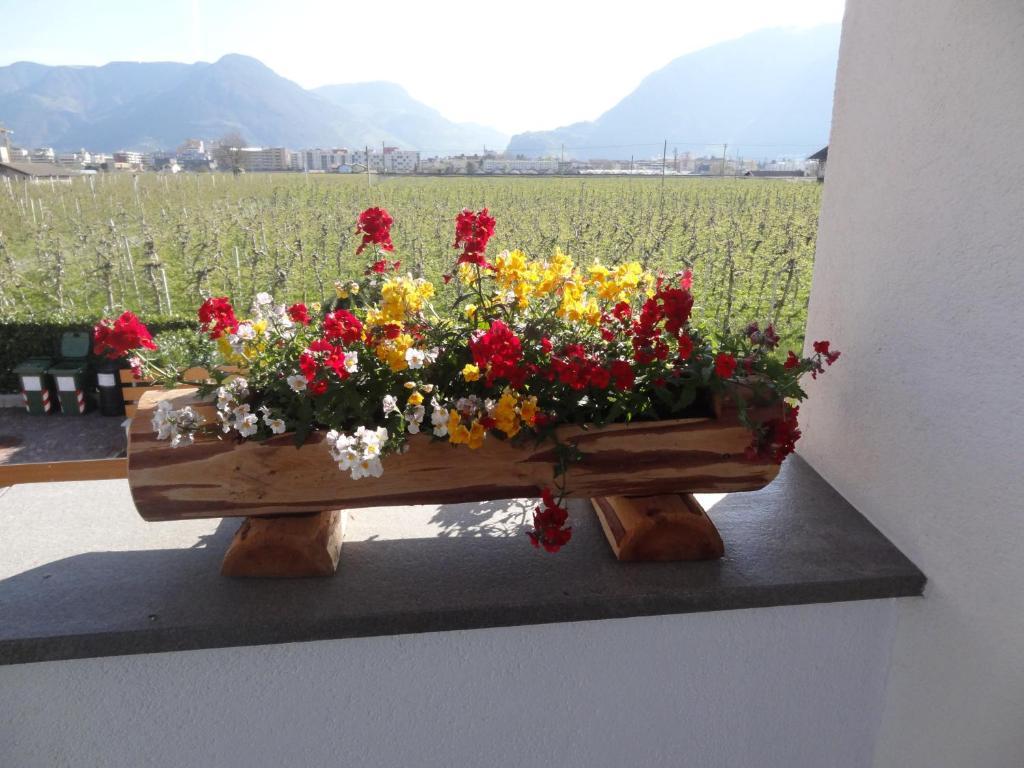 Apartments Klotz Bolzano Luaran gambar